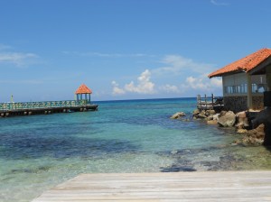 A view from my lounge chair in our hidden sanctuary