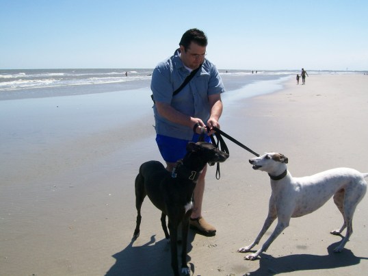 Race you to the dunes!