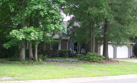 Can you imagine my leaf problem now?