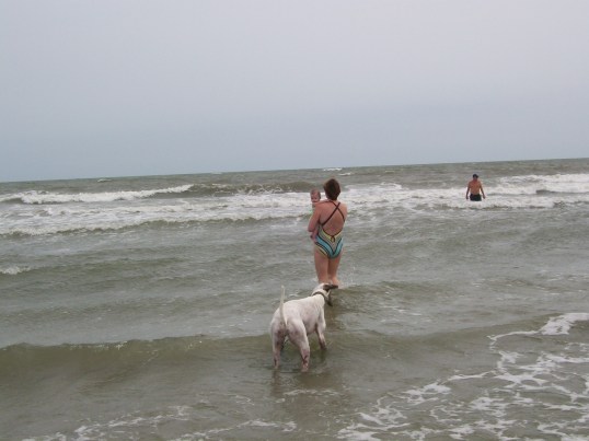 Greyhounds like the water too, although Cloudy never did master the 'jumping of waves'.