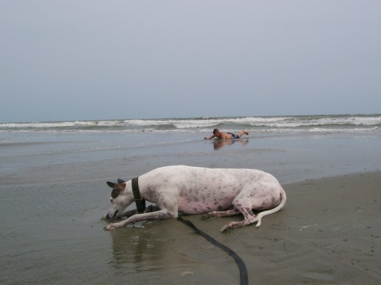 Imitation is the sincerest form of flattery. 