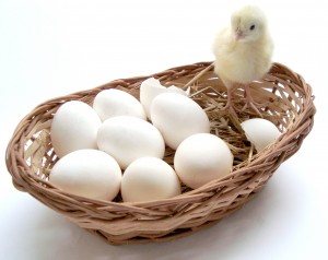 eggs_basket-300x238