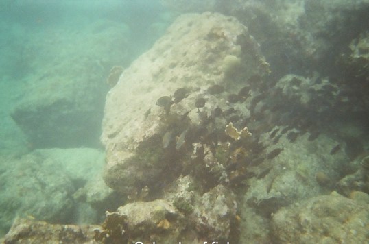 Curacao - Underwater & west coast beaches-07