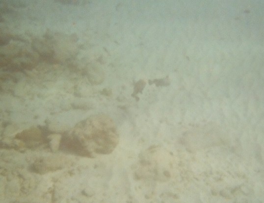 Curacao - Underwater & west coast beaches-21