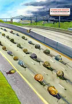 snailprint_1024x1024