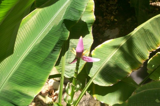 You can caption this one...