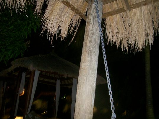 The last thing I remember