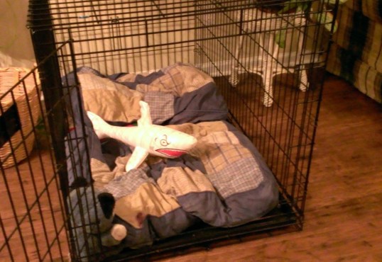 Jaws has been caged!