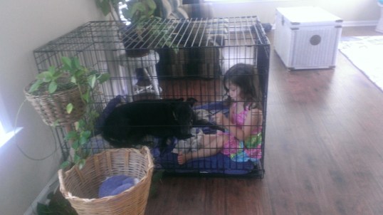 They both could end up in the dog house!