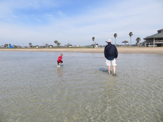 courtousy  of Beach treasures
