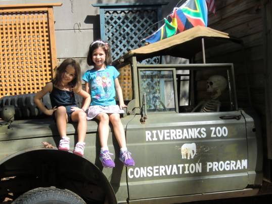 Is that all you got?