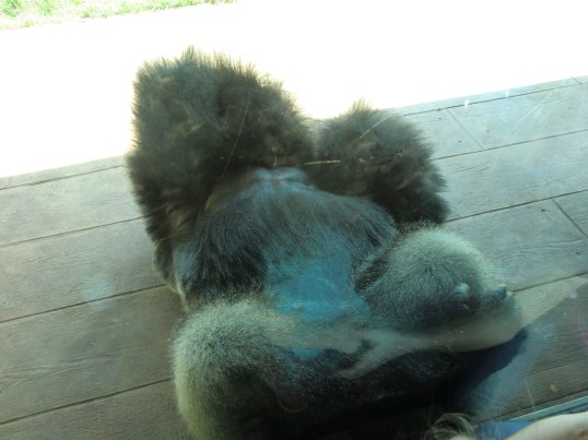 Please leave me alone....