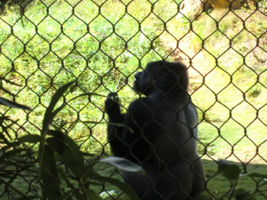 Please, please, pretty please?