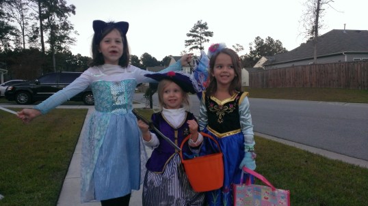 I think they are ready to go!