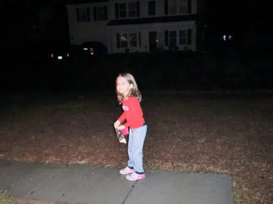 The annual Reindeer feeding, leaving Reindeer food on the lawn in hopes they stay longer.