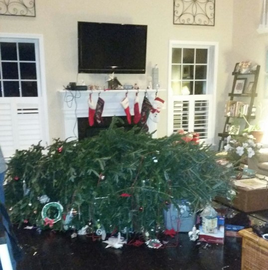 I'm calling TIMBER! Its falling down....