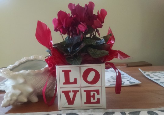 A four letter word for Family