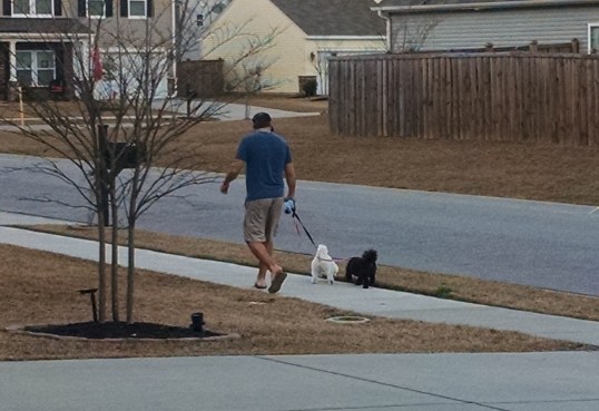 IMG_20150310_190620887