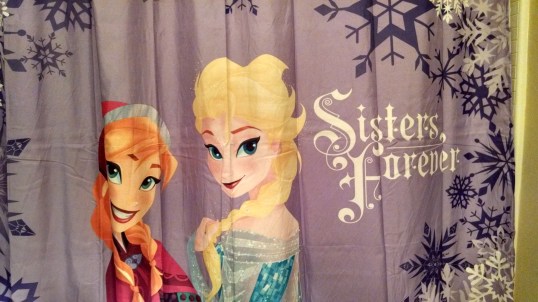 froz shower curtain