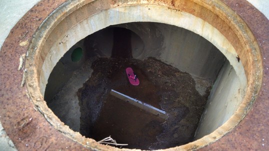 No Teenage Mutant Ninja Turtles down there!