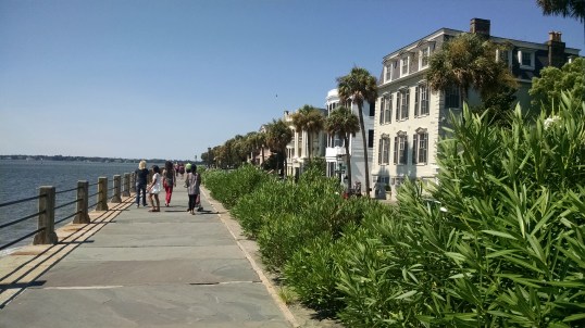 Yea, its a nice neighborhood to call home.