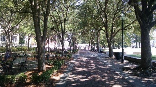 Lots of shade at the Waterfront Park