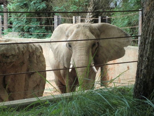 "Hey! That wasn't funny!" "I will remember that!"