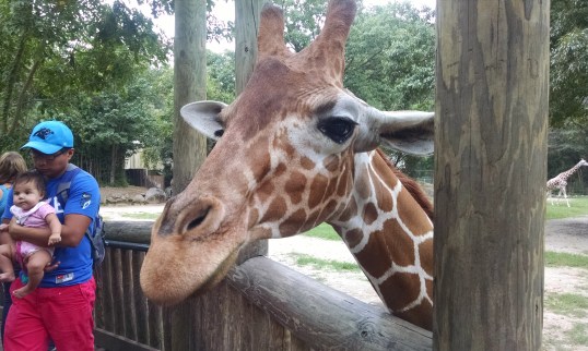 Hey, got a snack for me?