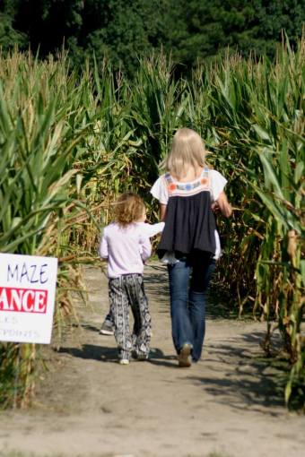 corn maze 1