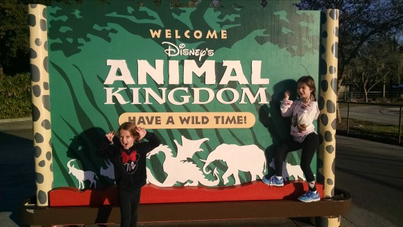 Animal Kingdom Entrance