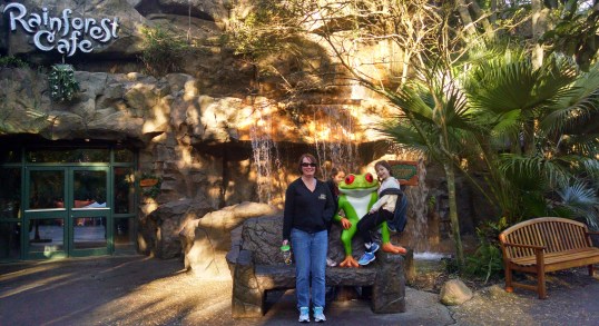 Animal Kingdom Rainforest entrance