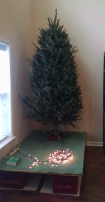 Let the Decking begin...